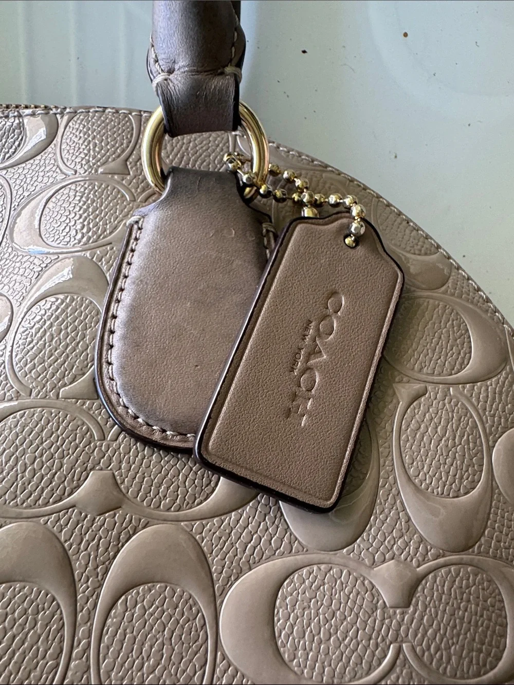 Coach Metallic Taupe Signature Dome Satchel